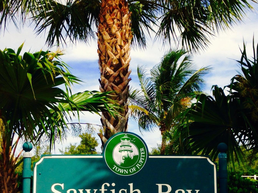 Sawfish Bay Park-朱庇特必去景点