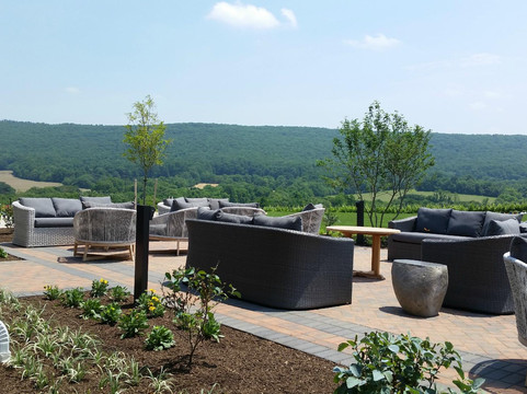 Big Cork Vineyards-Rohrersville必去景点