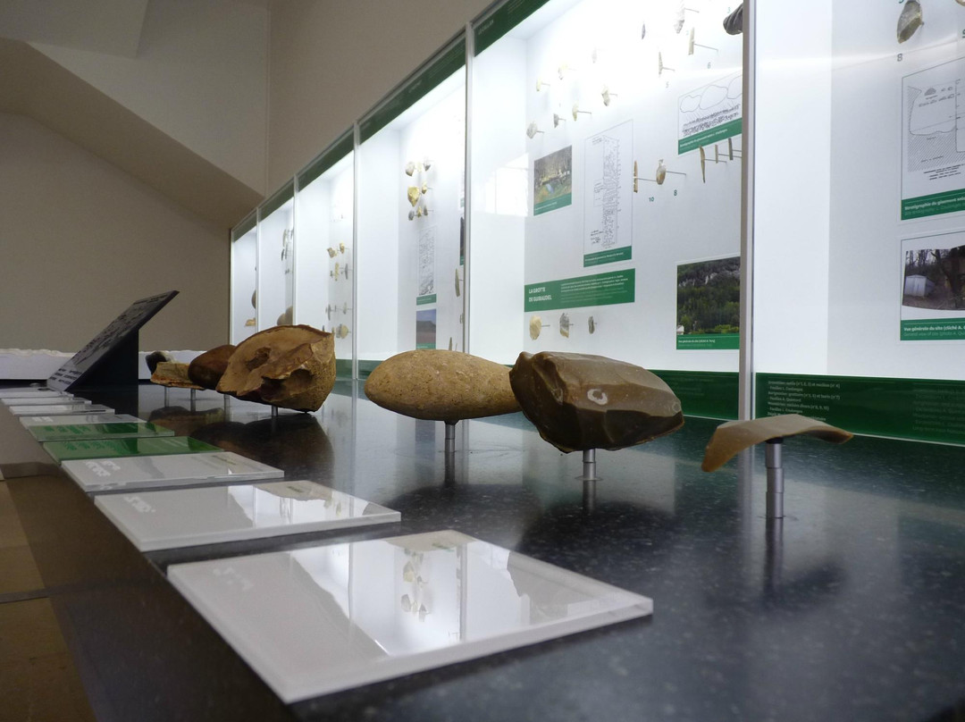 SauveTerre Musée de Préhistoire景点图片