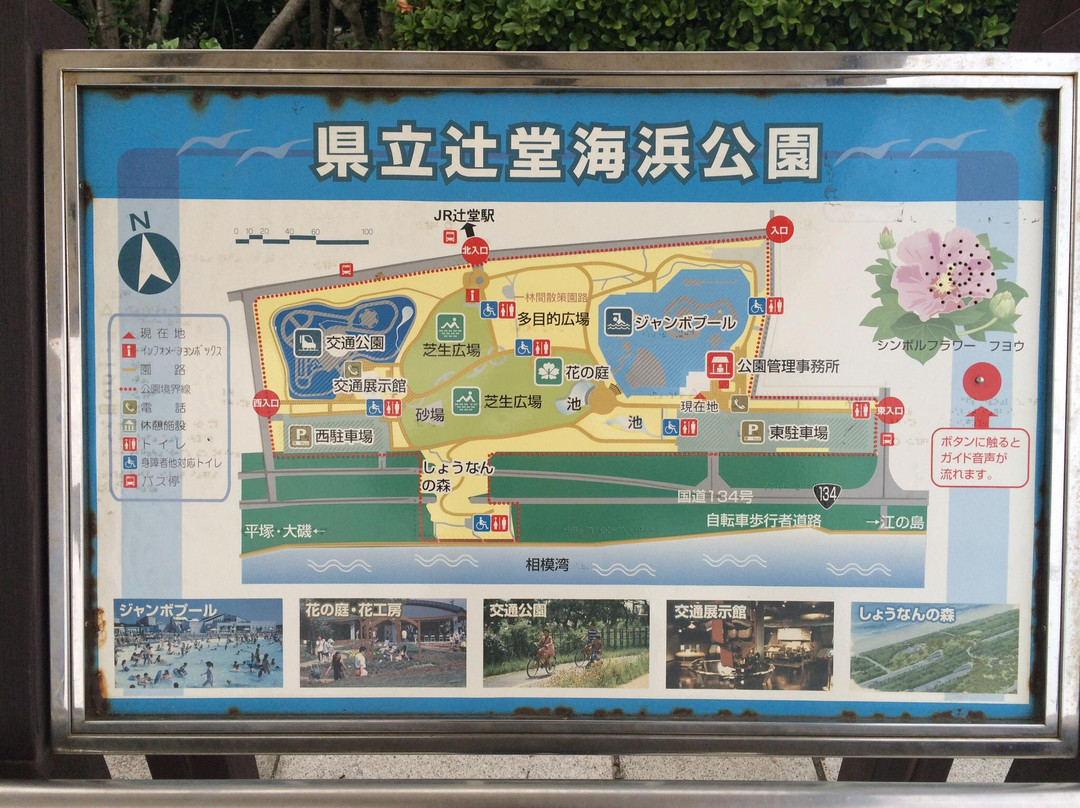 Tsujido Kaihin Park-藤泽市必去景点