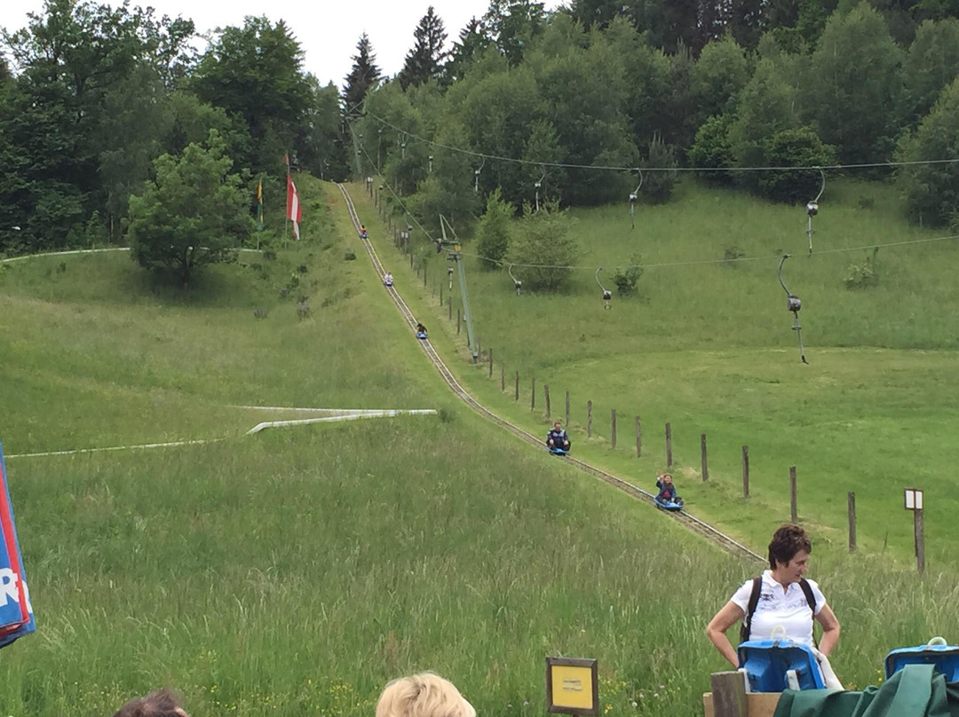 Sommerrodelbahn Moosburg景点图片