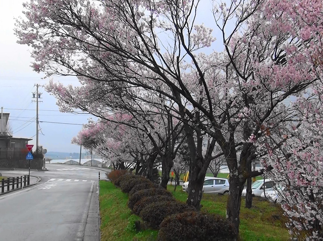 Miharasi Farm-伊那市必去景点