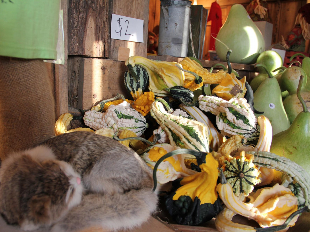 Grandaddy's Farm-Estill Springs必去景点