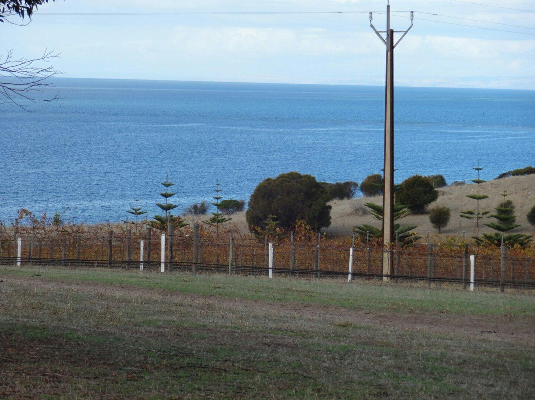 Bay of Shoals Winery-金斯科特必去景点