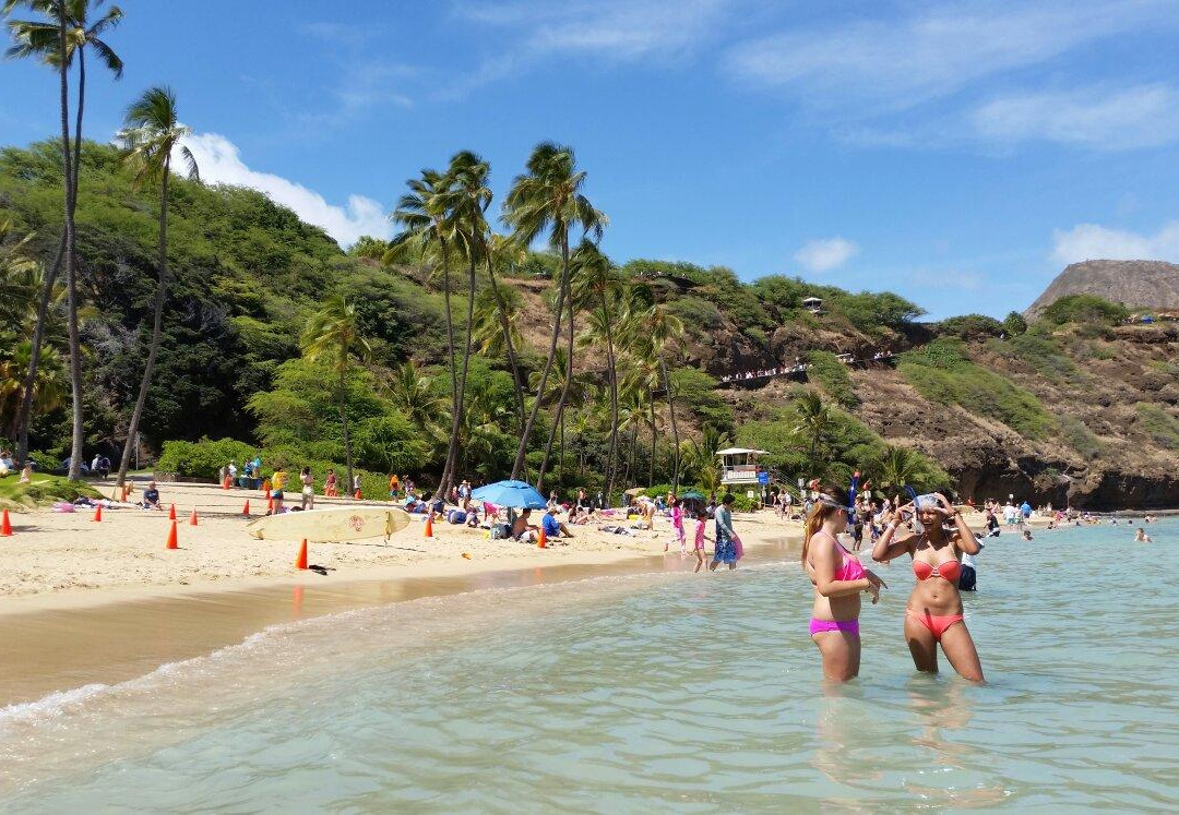 Snorkelfest Snorkel Hanauma Bay-火奴鲁鲁必去景点
