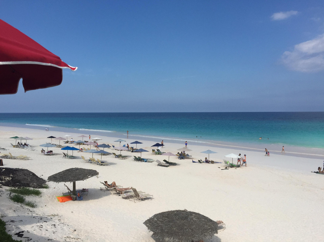 Pink Sands Beach-哈勃岛必去景点