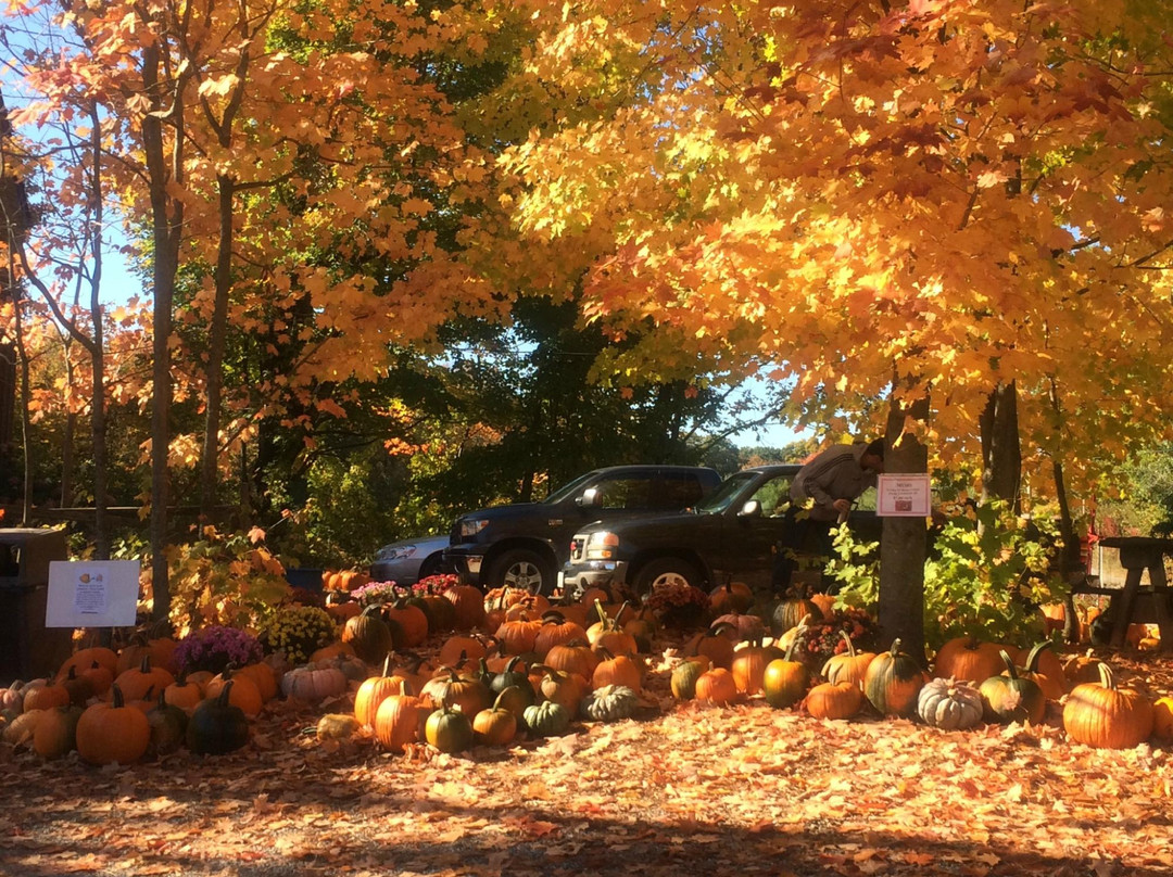 Barden Family Orchard-North Scituate必去景点