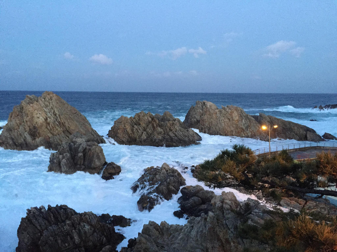 Jangho Port-三陟市必去景点