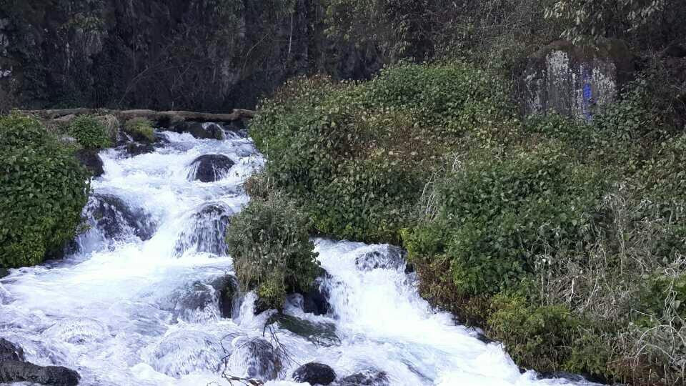 黑鱼河景点图片