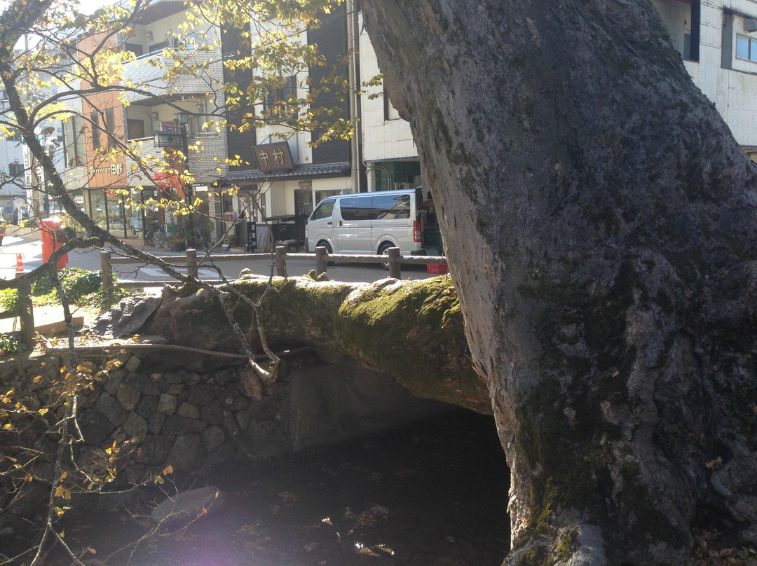 Kino Nebashi-丹波市必去景点