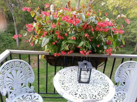 Historic James Mulvey Carriage house主图