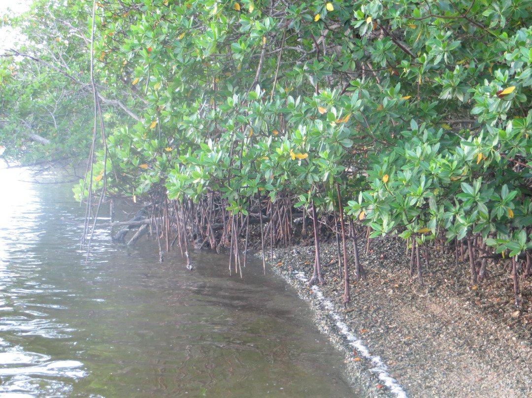 Chokoloskee Island Charters景点图片