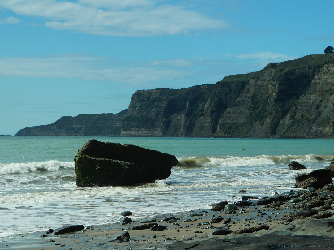 Cape Kidnappers景点图片