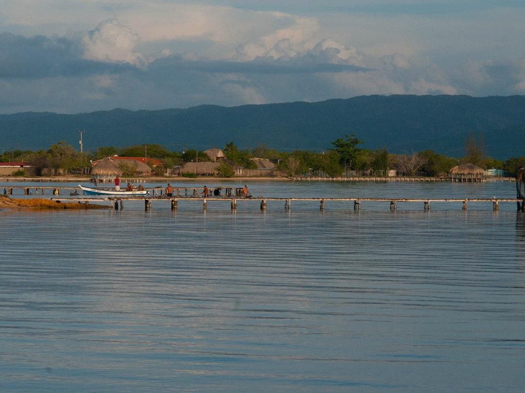 Medregal Village主图