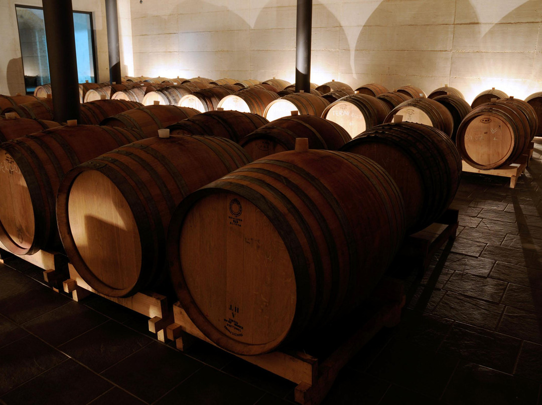 Arman Marijan Winery-Vizinada必去景点
