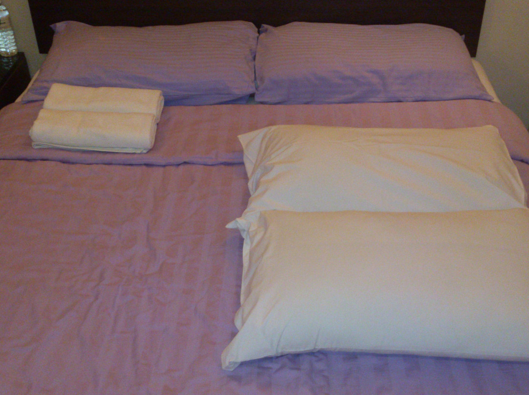 努沙薰衣草酒店主图