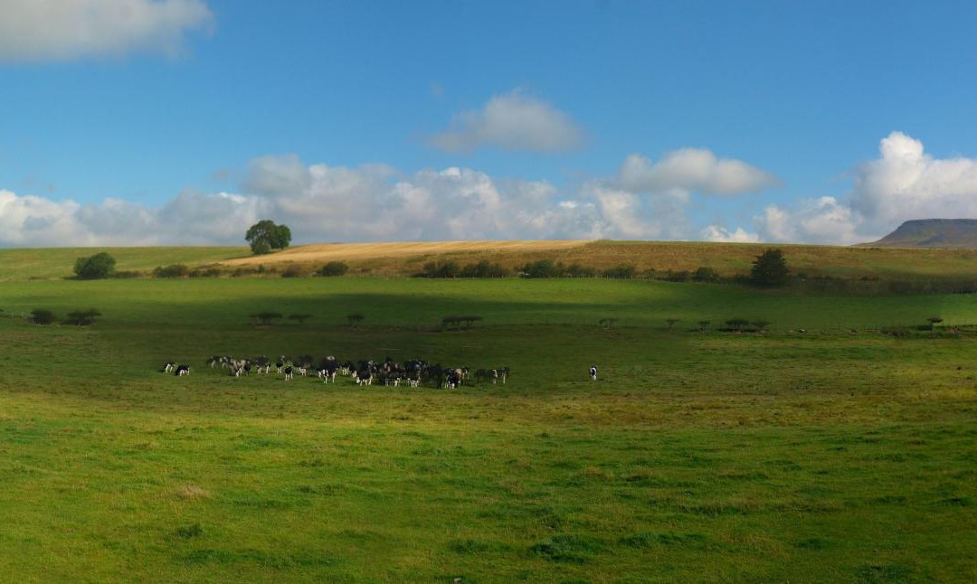 Eden Valley Railway景点图片
