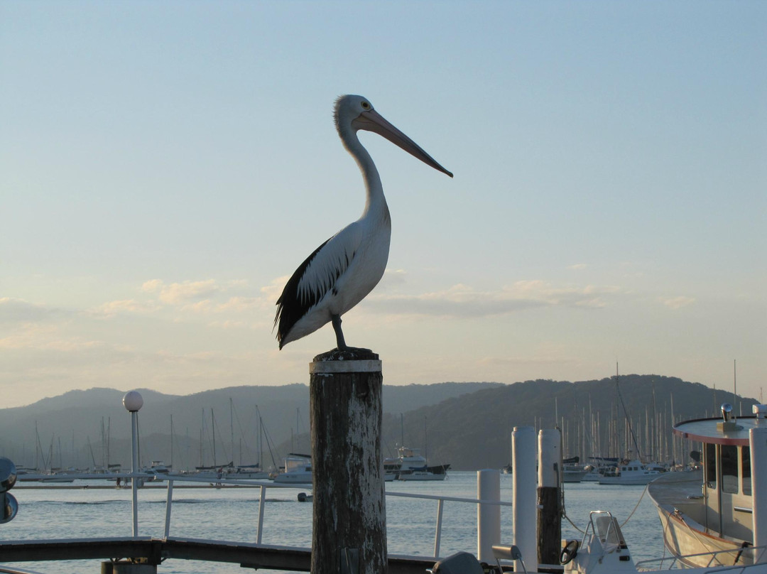 Terrific Tours Sydney-悉尼必去景点