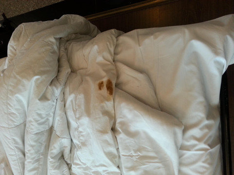 爱俪轩酒店公寓主图