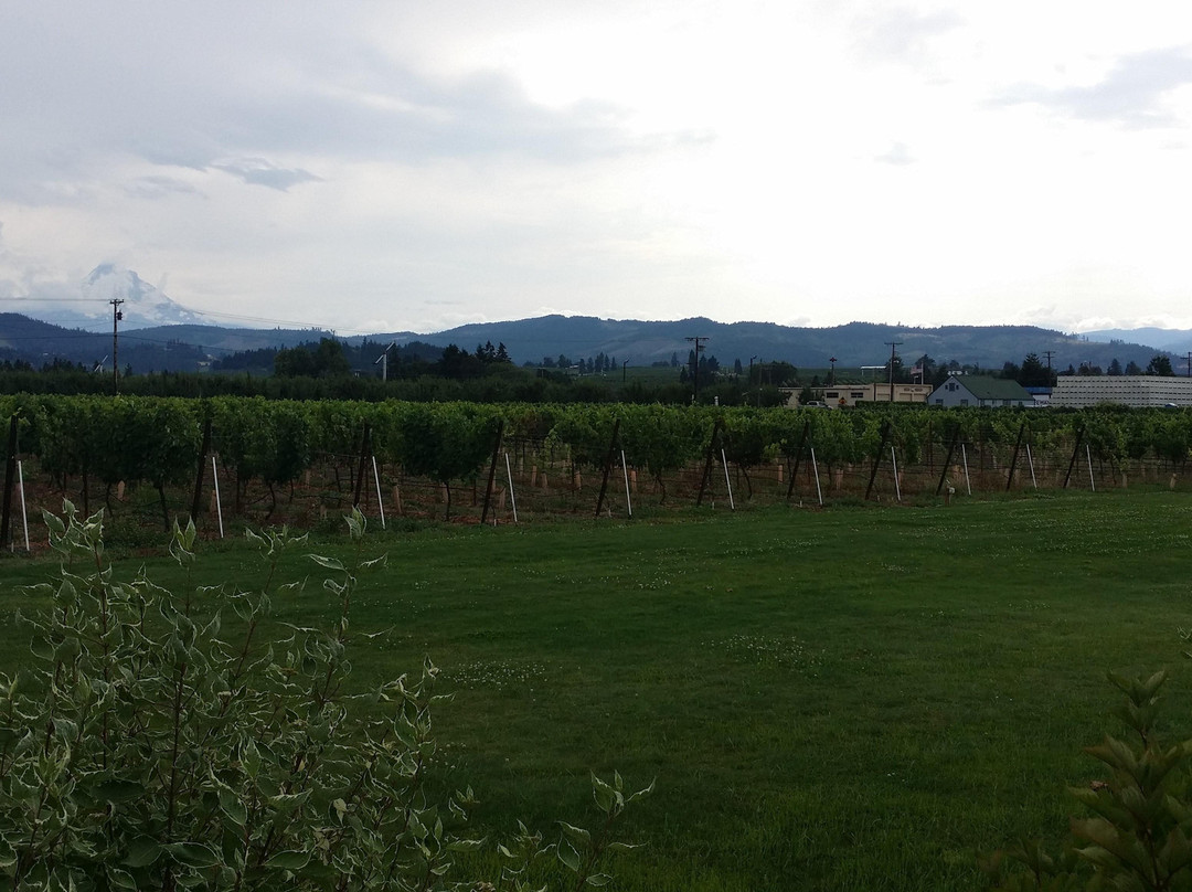 Viento Wines-胡德里弗必去景点