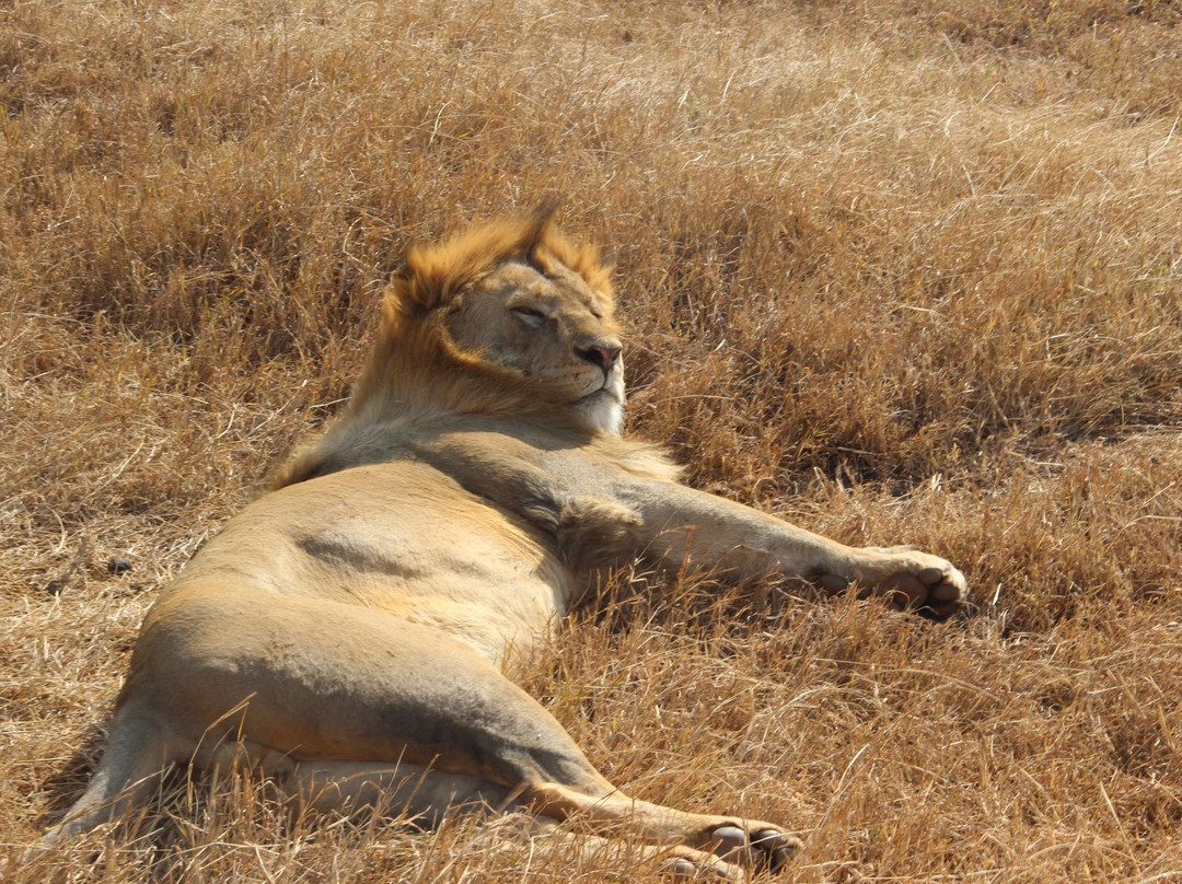Tanzania Expeditions-阿鲁沙必去景点