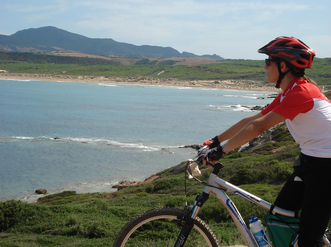 Baratz Rent a Bike-阿尔盖罗必去景点