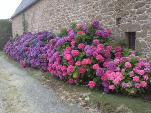 Saint-Coulomb酒店住宿-Le Hindre