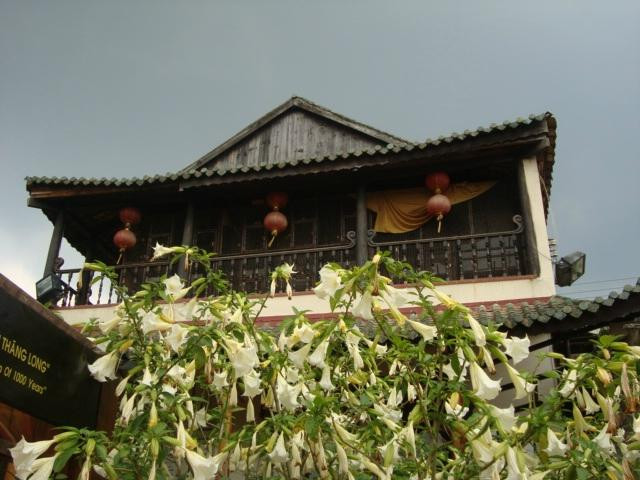 XQ Vietnam-大勒必去景点