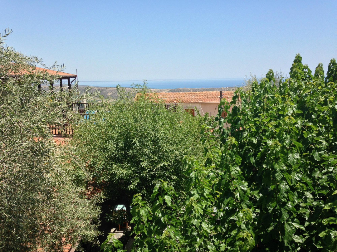 Bunch of Grapes Inn Hotel主图