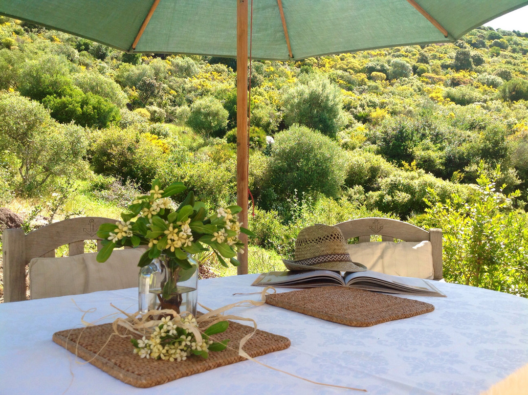Villanova Monteleone酒店住宿-Home B&B Alghero
