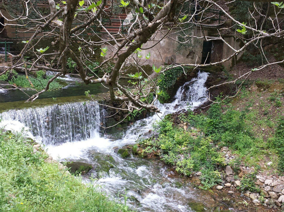 Agriturismo Pubusinu