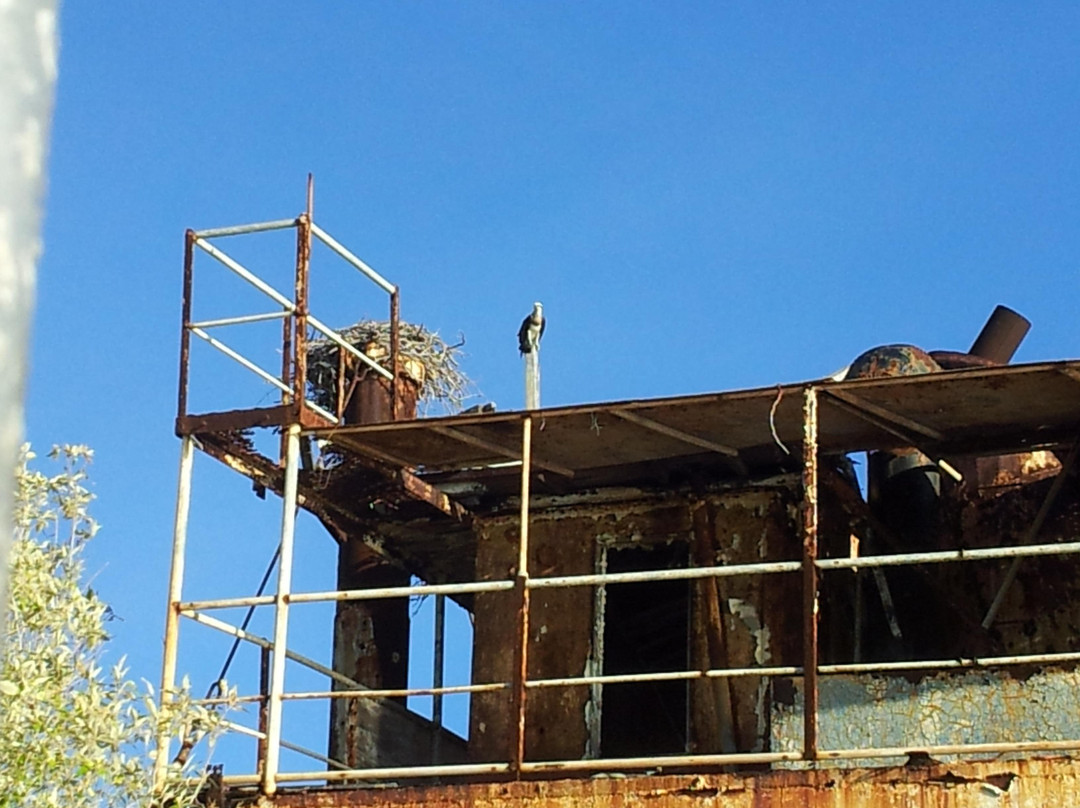 The Ferryman River Cruises-Karumba必去景点