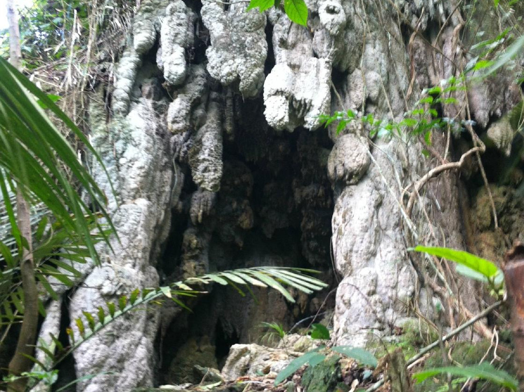 Nalalata Falls-Bula必去景点