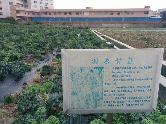 广州蔬菜公园-广州市必去景点