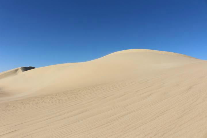 Desert Treasures Tours - Day Tours景点图片