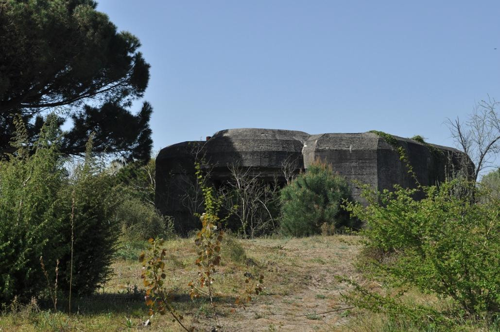Riserva Naturale Ca' Roman-Pellestrina必去景点
