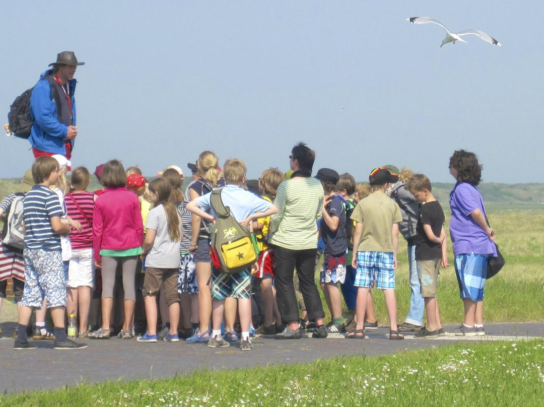 Wattführer Arvid Private Tours