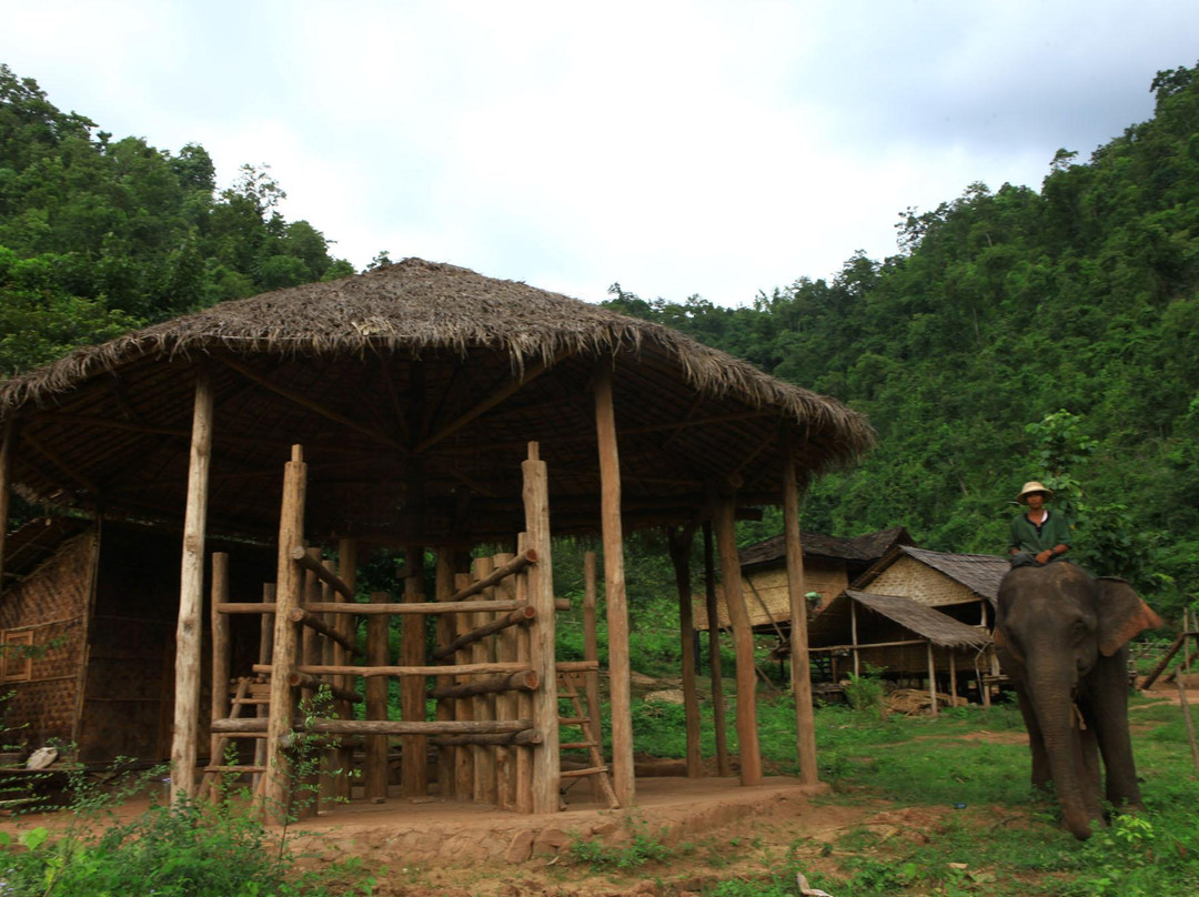 Green Hill Valley Elephant Camp- Day Tours-格劳必去景点