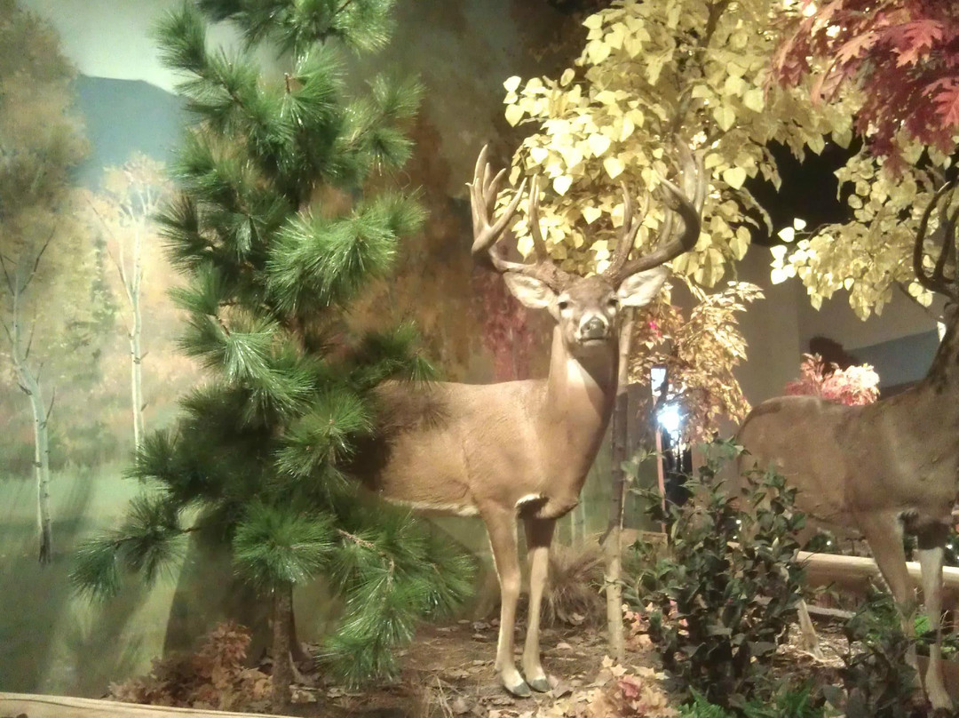 Cabela's-East Hartford必去景点