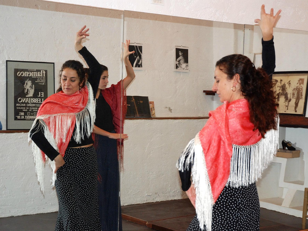 Escuela de Flamenco La Fuente景点图片