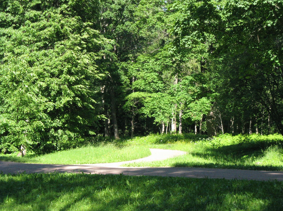 The Oranienbaum Park景点图片
