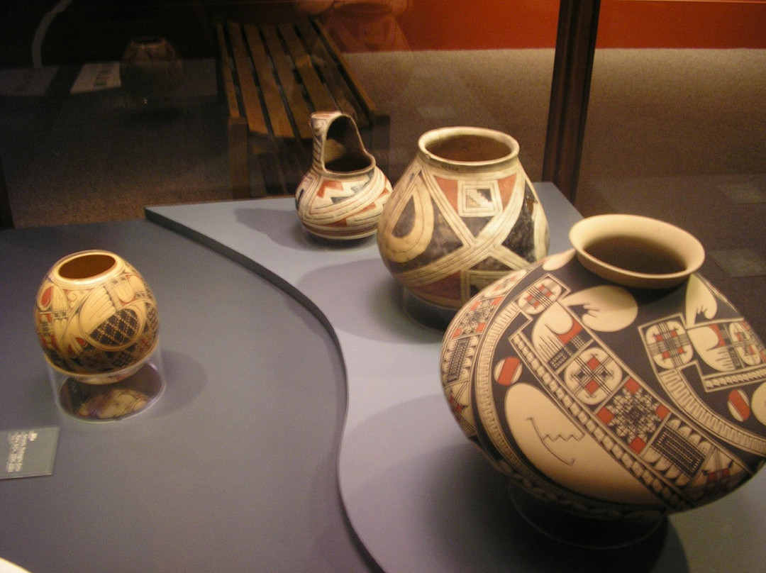 菲尔德自然史博物馆-芝加哥必去景点