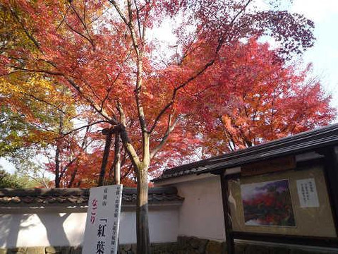 天龙寺-京都市必去景点