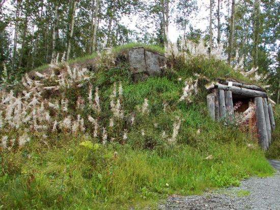 阿拉斯加原始遗迹中心-安克雷奇必去景点