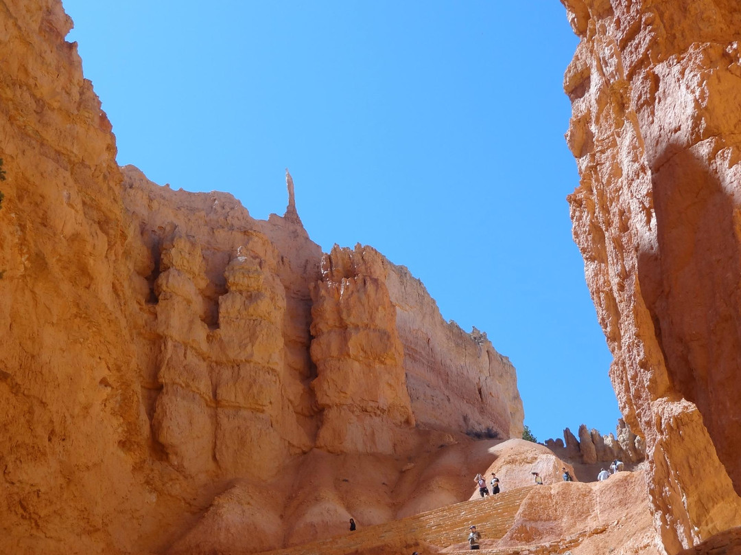 Under-the-Rim Trail-布莱斯峡谷国家公园必去景点