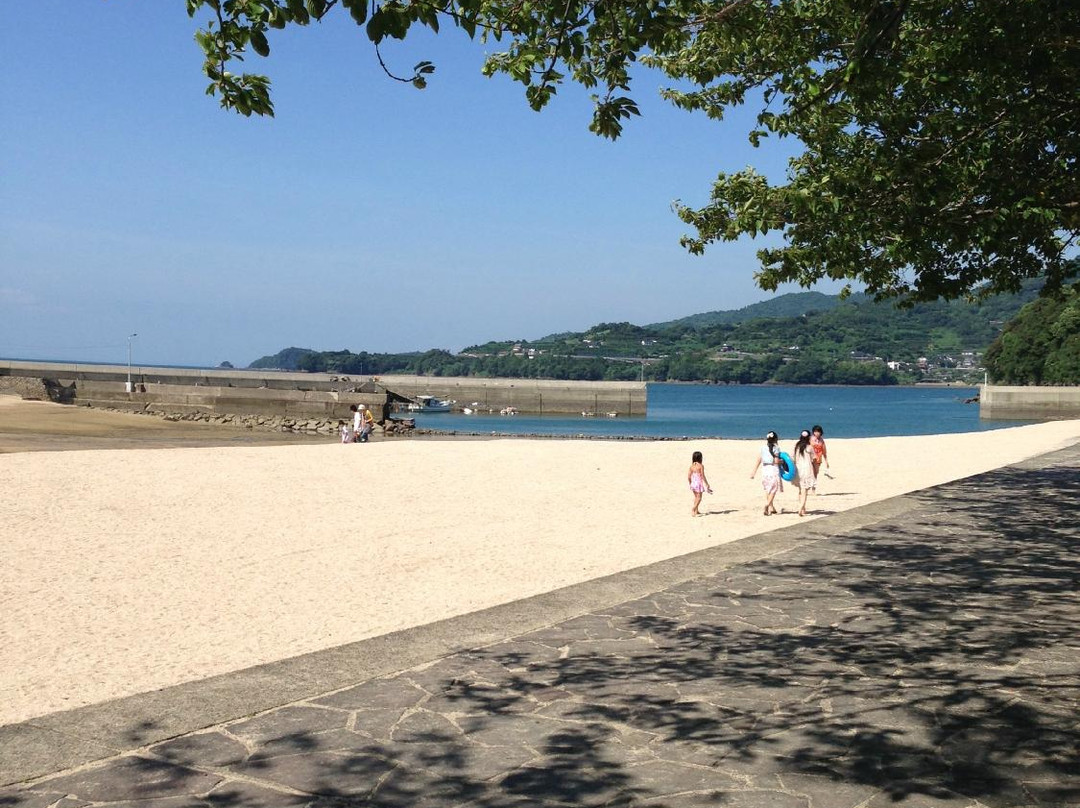 Cherry Blossom Trees along Yunoko Beach Road-水俣市必去景点