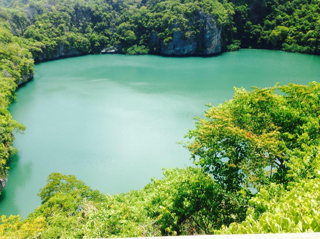 Orion Boat Trips - Day tours-帕岸岛必去景点