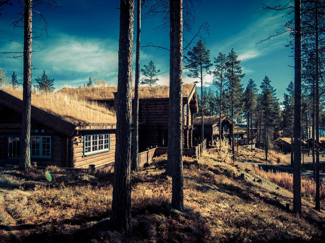 Fjällripan Lodge