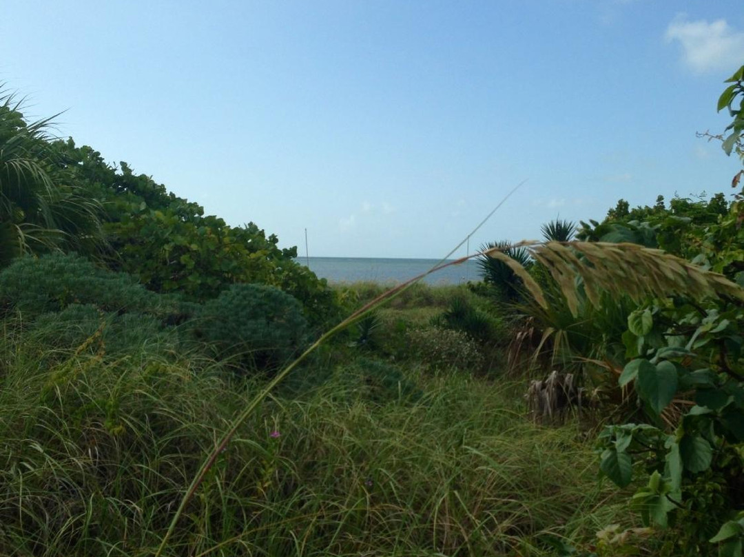 Bear Cut-比斯坎湾必去景点