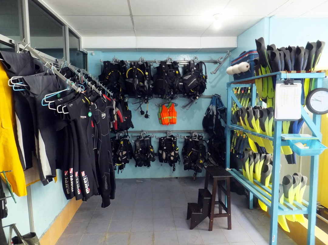 婆罗州快捷潜水-仙本那必去景点